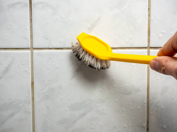 Reliable Casa Grande, AZ Mold Removal Solutions