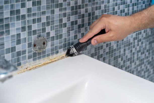 Certified Mold Removal in Casa Grande, AZ