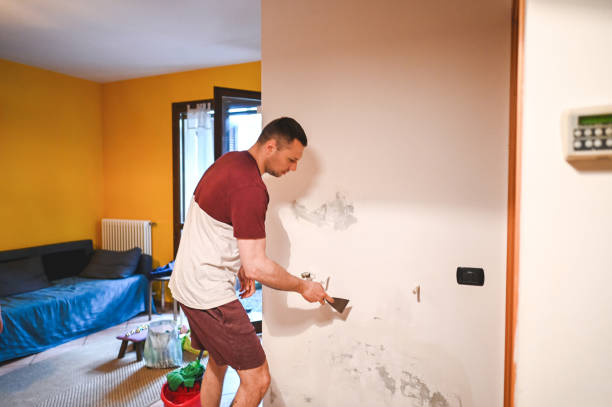 Best Crawl Space Mold Removal  in Casa Grande, AZ